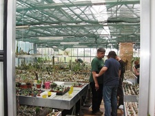 Выставка 1 мая 2009 (Донецк)