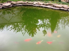 Выставка 1 мая 2009 (Донецк)