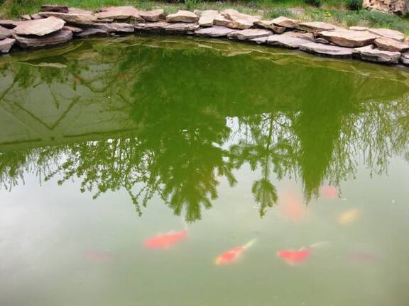 Выставка 1 мая 2009 (Донецк)