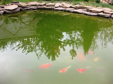 Выставка 1 мая 2009 (Донецк)