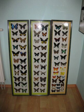 Выставка 1 мая 2009 (Донецк)