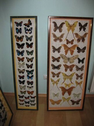 Выставка 1 мая 2009 (Донецк)