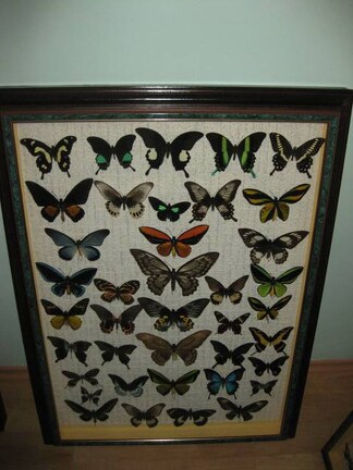 Выставка 1 мая 2009 (Донецк)