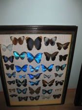 Выставка 1 мая 2009 (Донецк)