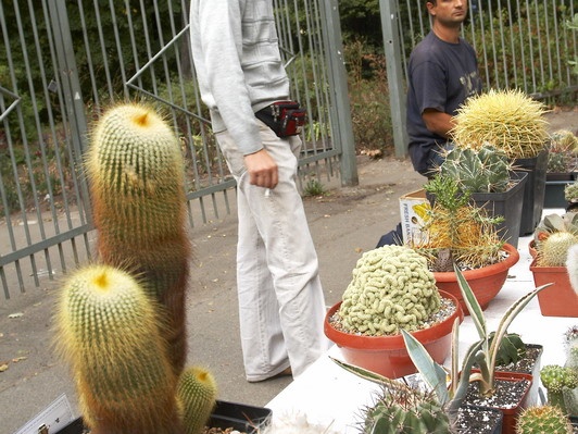 Выставка сентябрь 2008
