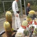 Выставка сентябрь 2008