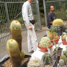 Выставка сентябрь 2008