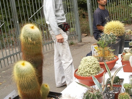 Выставка сентябрь 2008