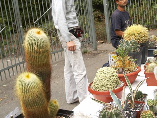 Выставка сентябрь 2008