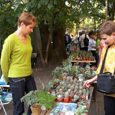 Выставка сентябрь 2008