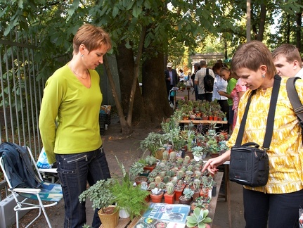 Выставка сентябрь 2008