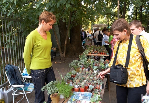 Выставка сентябрь 2008
