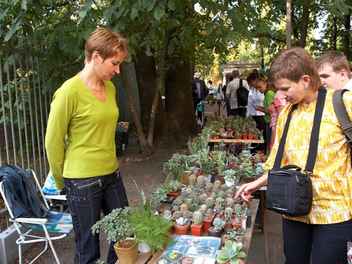 Выставка сентябрь 2008