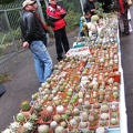 Выставка сентябрь 2008