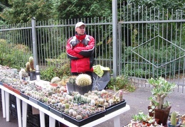 Выставка сентябрь 2008
