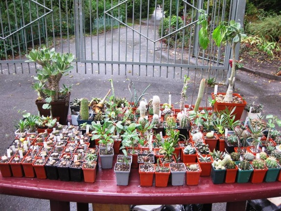 Выставка сентябрь 2008