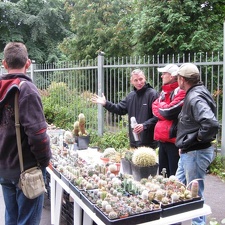 Выставка сентябрь 2008