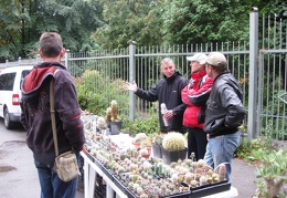 Выставка сентябрь 2008