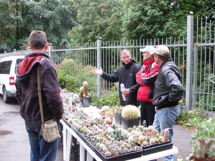 Выставка сентябрь 2008