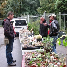 Выставка сентябрь 2008