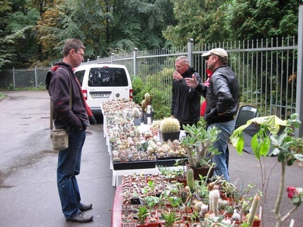 Выставка сентябрь 2008