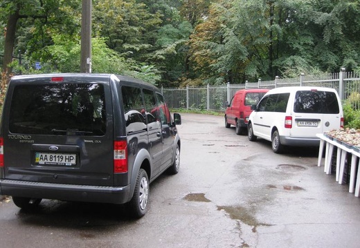 Выставка сентябрь 2008