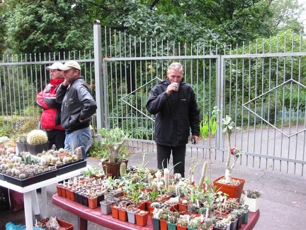 Выставка сентябрь 2008