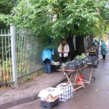 Выставка сентябрь 2008