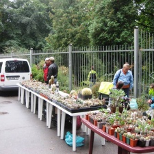 Выставка сентябрь 2008