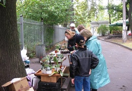 Выставка сентябрь 2008