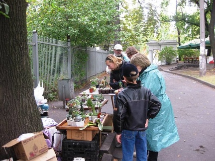 Выставка сентябрь 2008