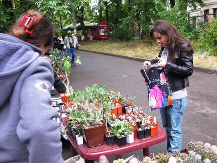 Выставка сентябрь 2008