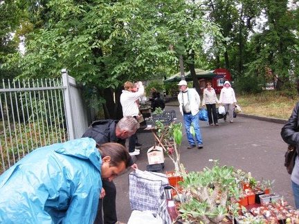 Выставка сентябрь 2008