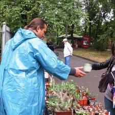 Выставка сентябрь 2008