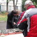 Выставка сентябрь 2008