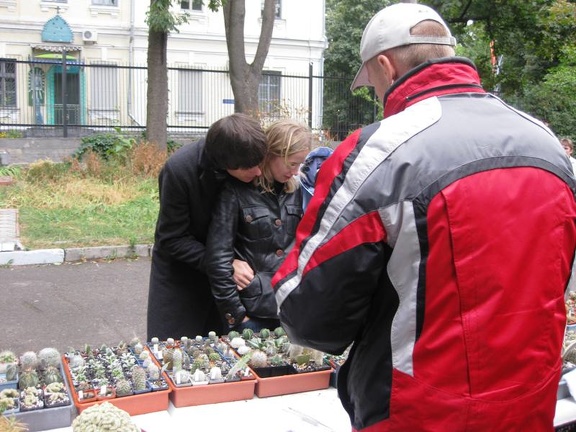 Выставка сентябрь 2008