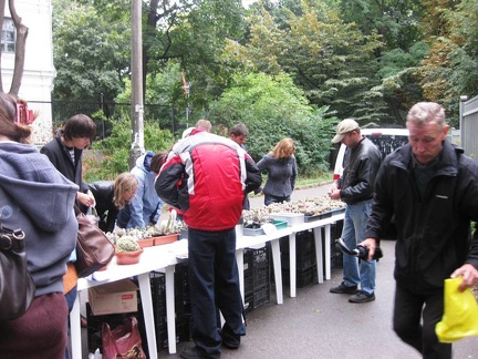 Выставка сентябрь 2008