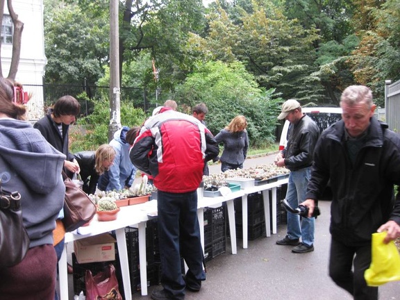 Выставка сентябрь 2008