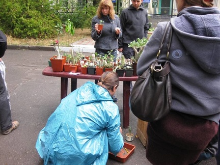 Выставка сентябрь 2008