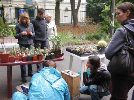 Выставка сентябрь 2008