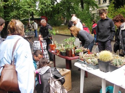 Выставка сентябрь 2008