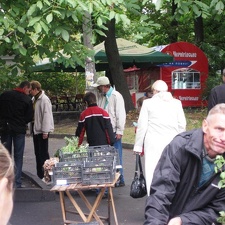 Выставка сентябрь 2008