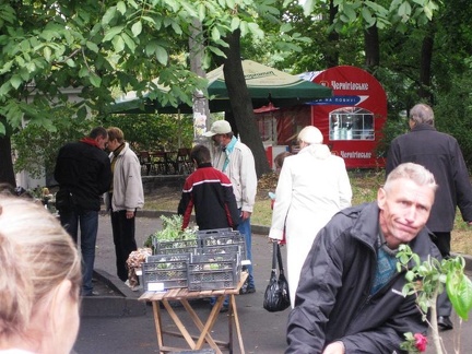 Выставка сентябрь 2008