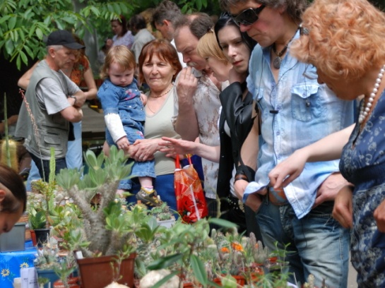 Выставка май 2008 