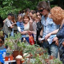 Выставка май 2008 