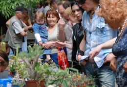 Выставка май 2008 