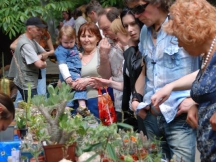 Выставка май 2008 