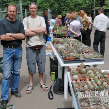 Выставка май 2008 