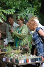 Выставка май 2008 