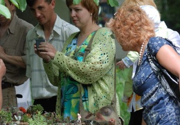 Выставка май 2008 